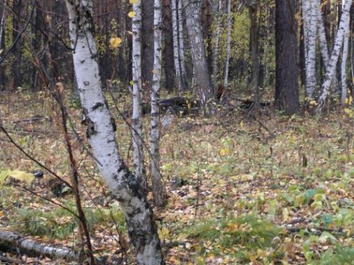 В какихто шести метрах
