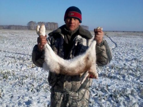 Открылись удачно 2012г.