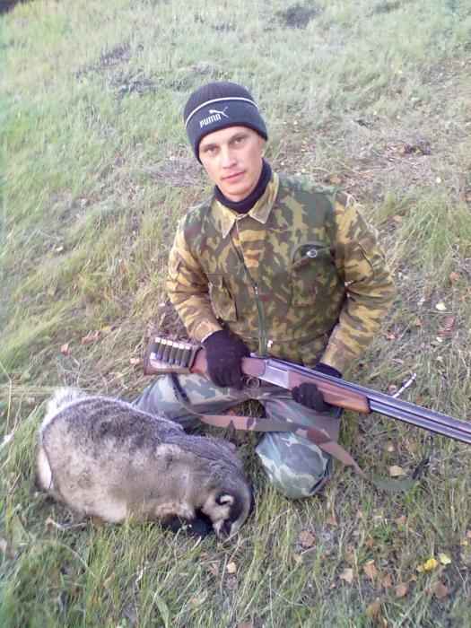 Барсук
