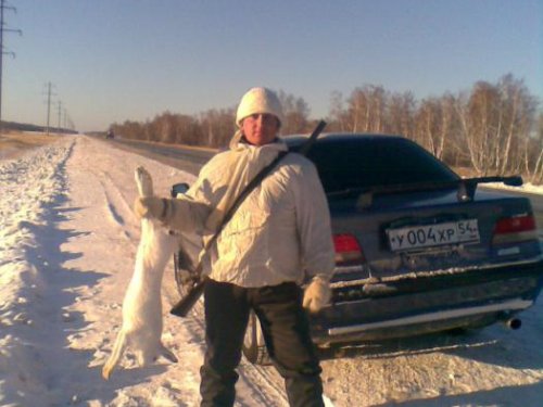 Заяц 03.12.2010 г.