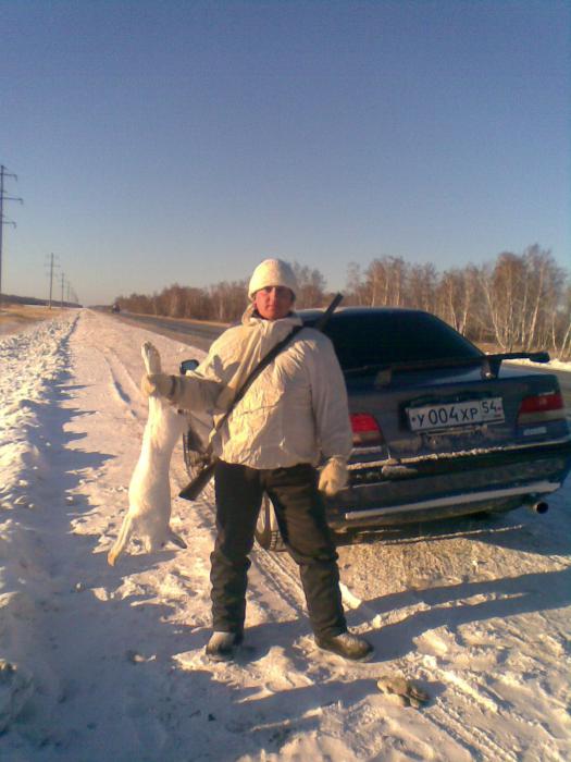 Заяц 03.12.2010 г.