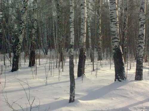 Как-то на зайку. В преддверии перед открытием))))