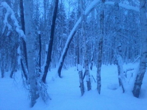 на покров 