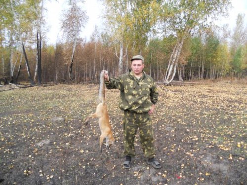  лис 