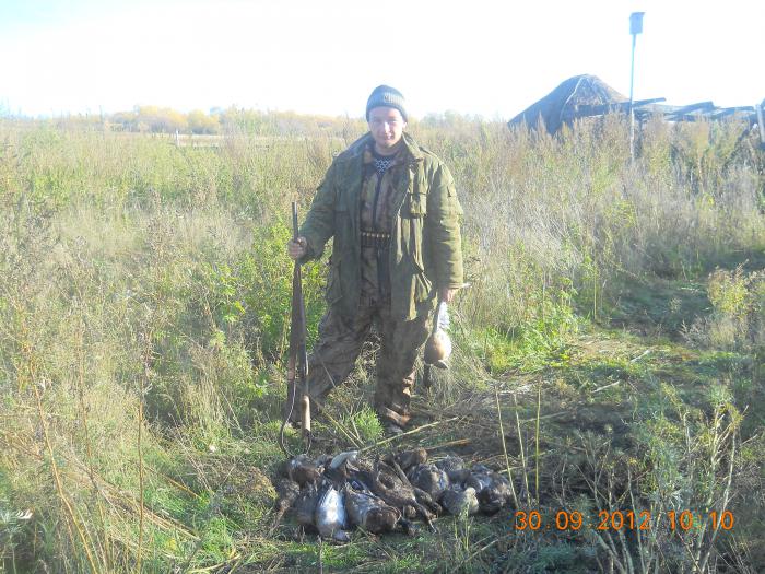 осень 2012 , результат за неделю