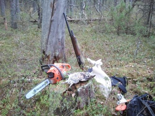 Строим первый солонец