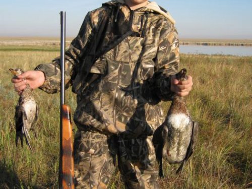 баган 2012