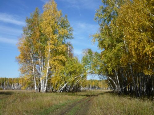 Парадный въезд...,в