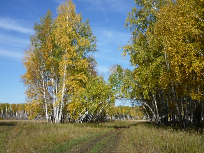 Парадный въезд...,в