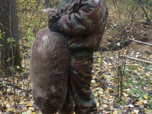 Уловчик