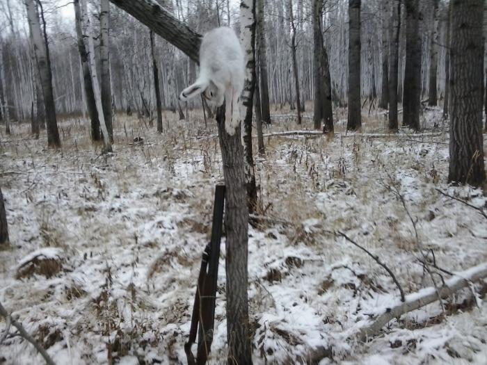 Открылся по зайке))))