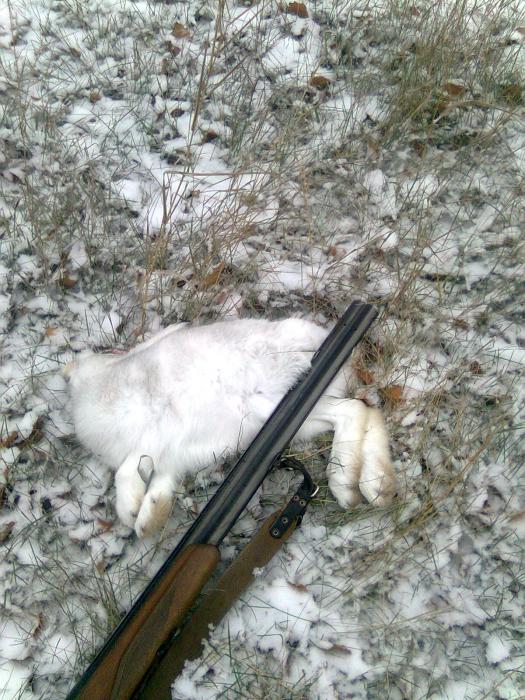 вот и мы снега дождались! 