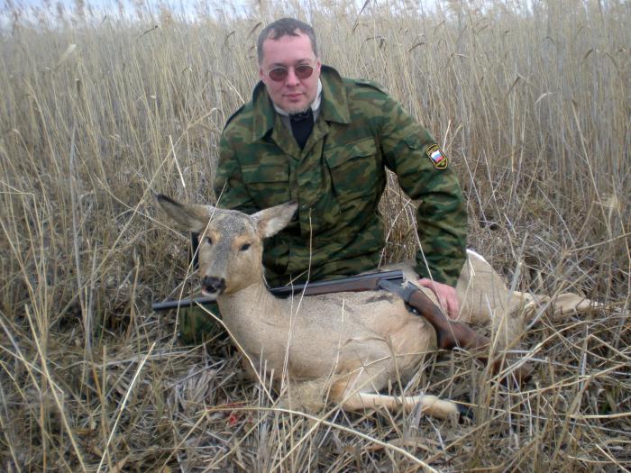 (лат. capreolus) русские названия дикая коза, козуля, косуля. 03.11.2012