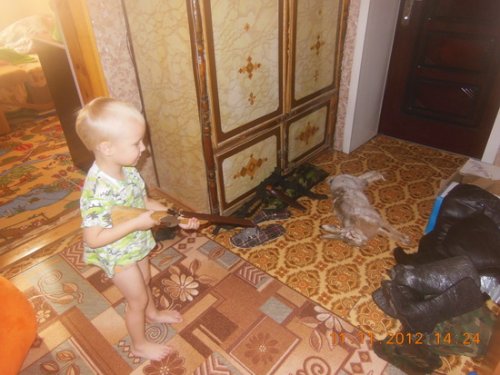 "первый" у сына