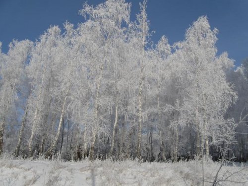 Зима в Красноярске