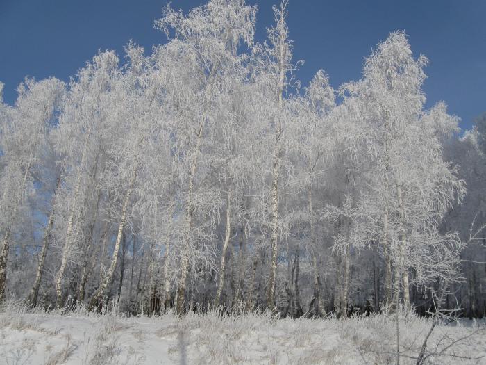 Зима в Красноярске
