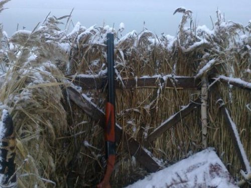 последний гоголь 2012 года