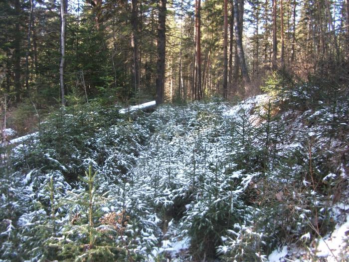 самовосстановление