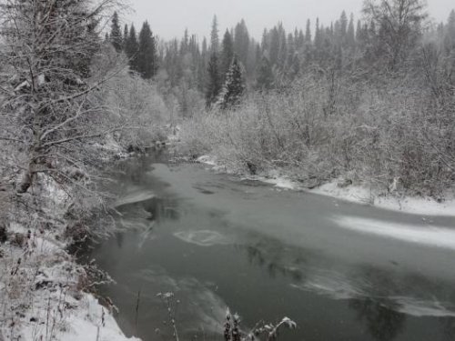 Сейчас на Чумыше.