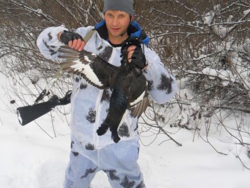 Тетерев