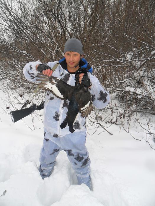 Тетерев