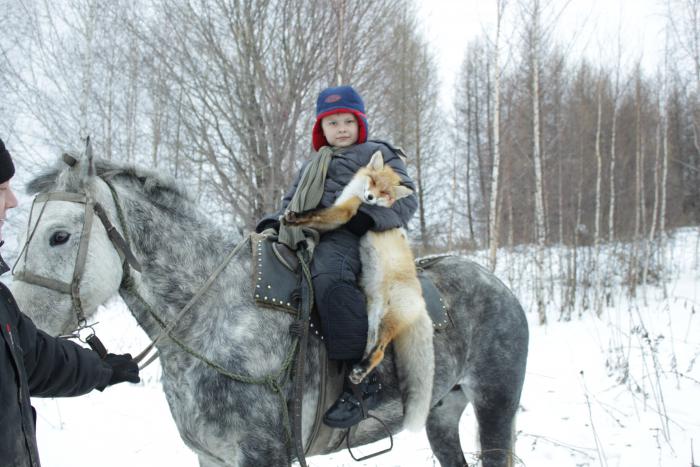 Сынишка друга