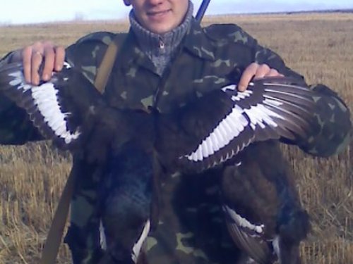 Тетерев 