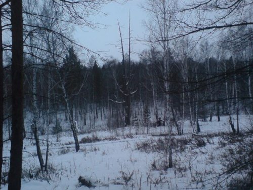 И нам посчастливилось!