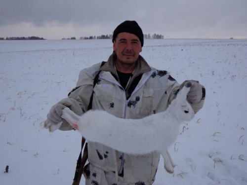 Трудовой зайка.