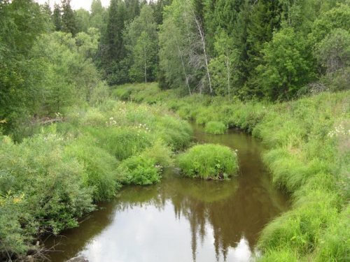 р. Кемь летом