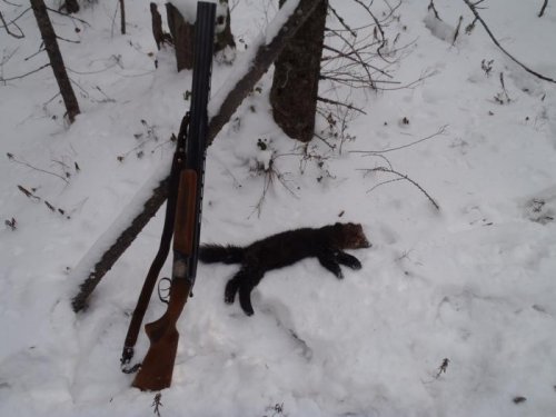 Соболька
