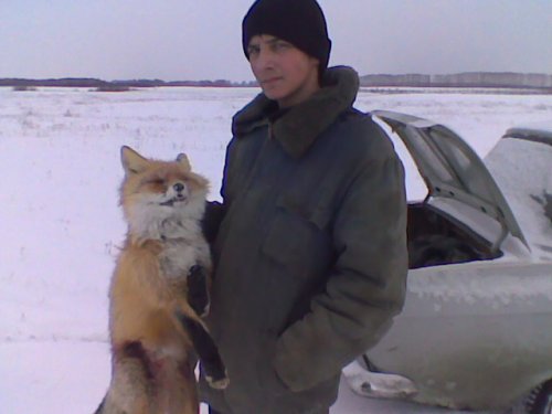 лиска