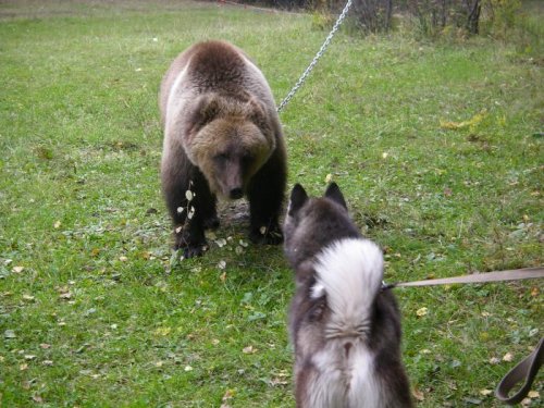 ну что?...будем знакомы?