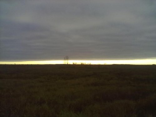 Васюганское болото до горизонта.