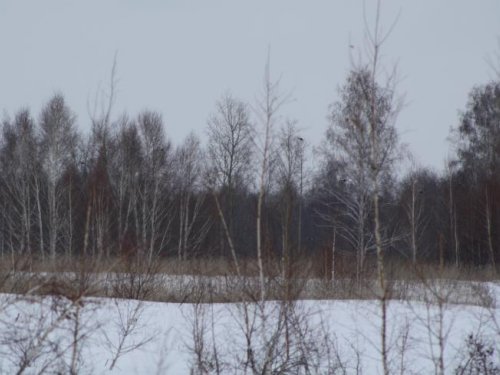 В полете