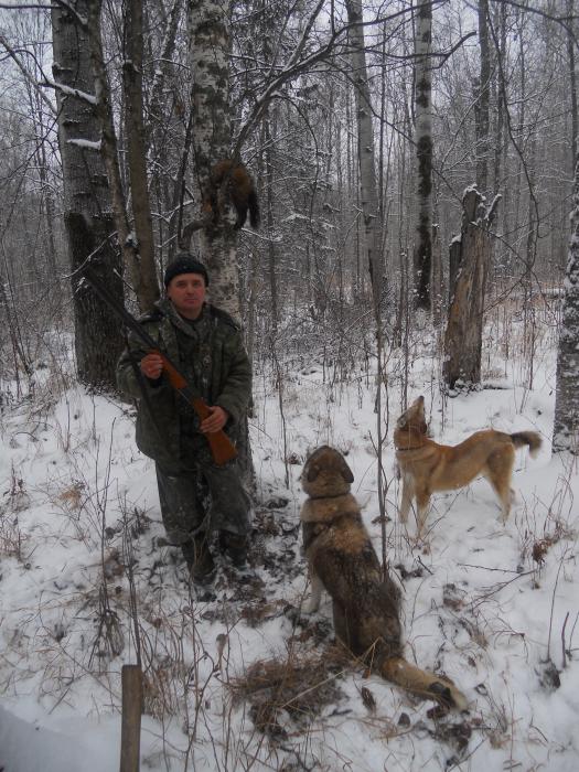 Очередной трофей.