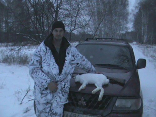 Вечерний зайка