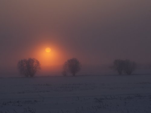 зимнее утро
