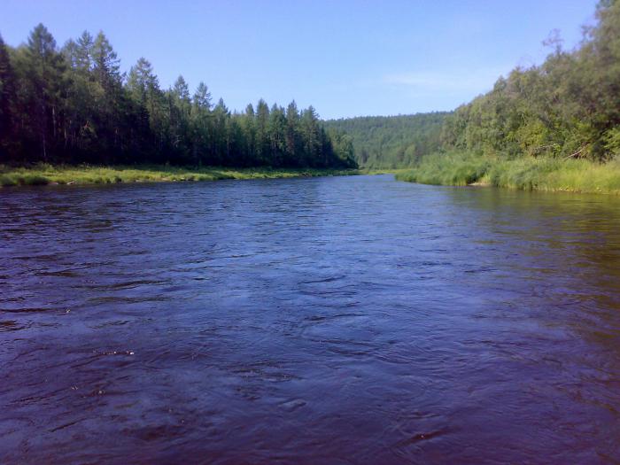 Река Кута