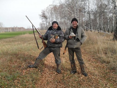 Зайцев нет - грибов набрали...