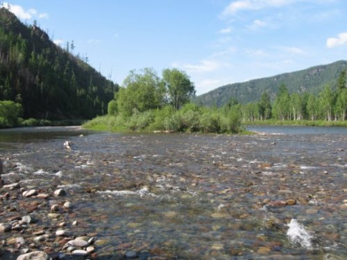 Река Буйба