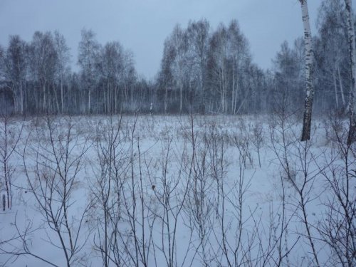 На номере.
