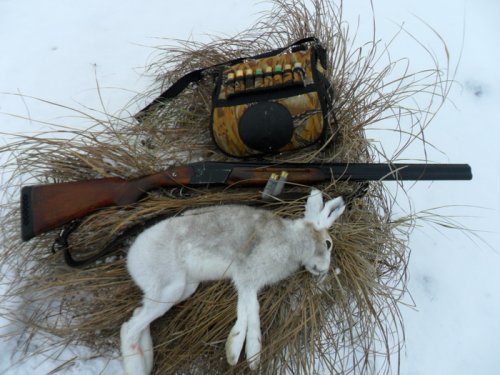 Уже второй в сезоне!))) 05.11.12