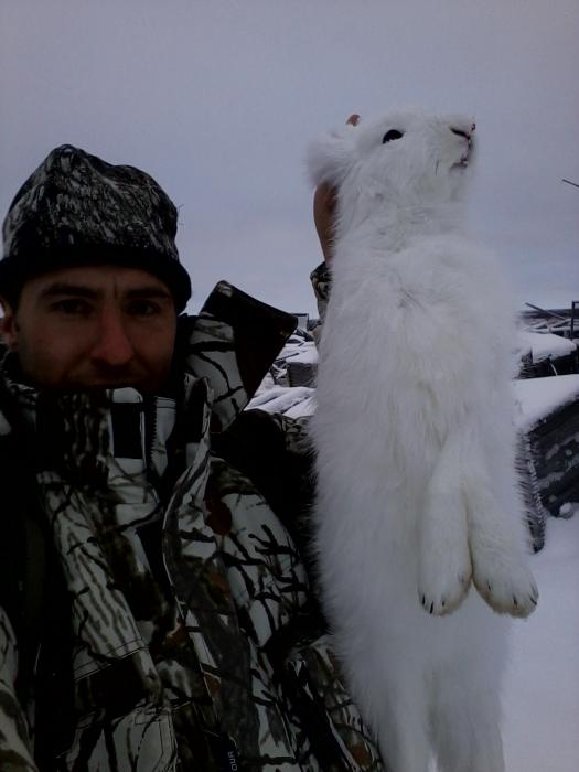 заяц(октябрь 2012)
