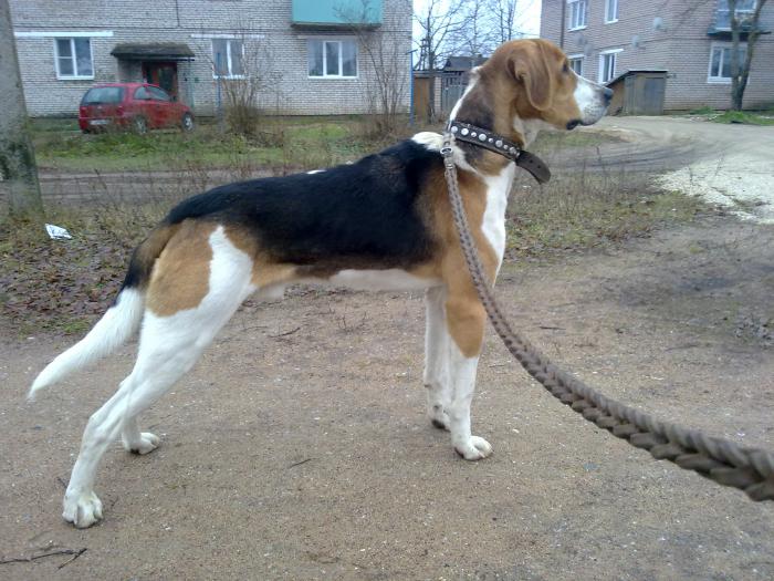 вот нам и год :)