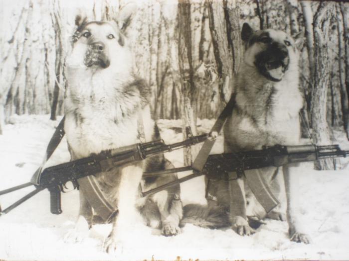 пограничницы