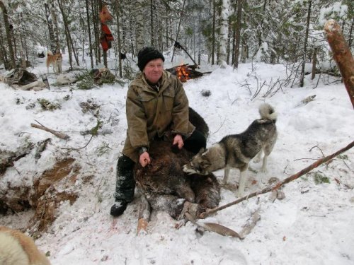 ноябрь_2012 охота на берлоге