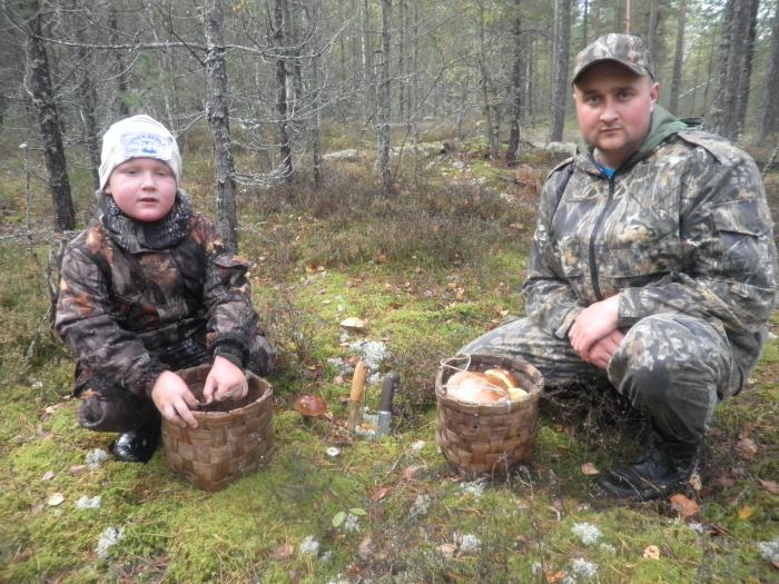 Заготовка на зиму.