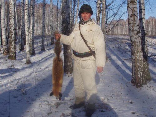 лис