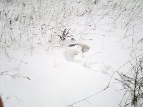 В окопе)
